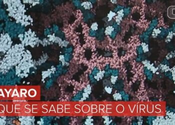 Mayaro e o que mais? Unicamp aponta possível transmissão urbana do vírus em Roraima e vê indícios de novas ameaças